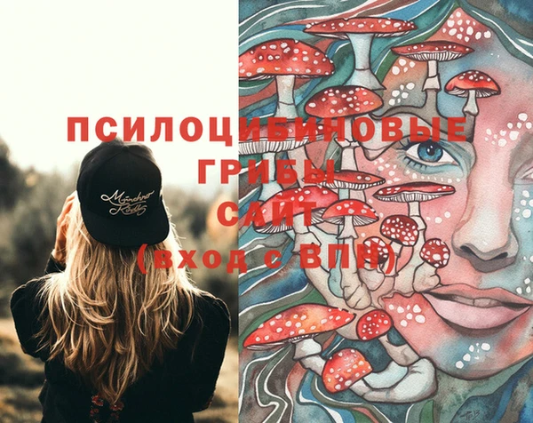 mdpv Алексин