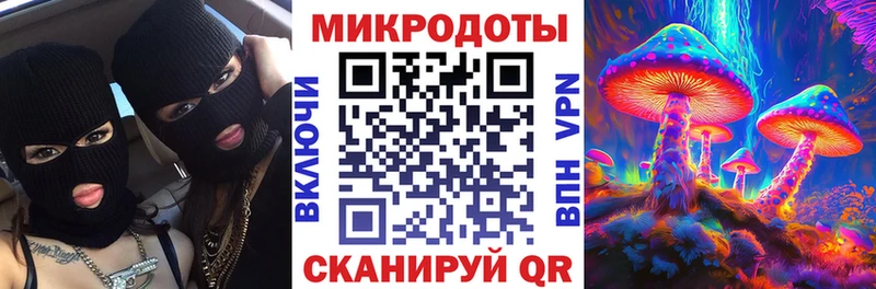 Псилоцибиновые грибы мицелий  Юхнов 